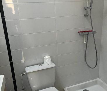 Appartement à louer, 1 pièce - Angers 49000 - Photo 3