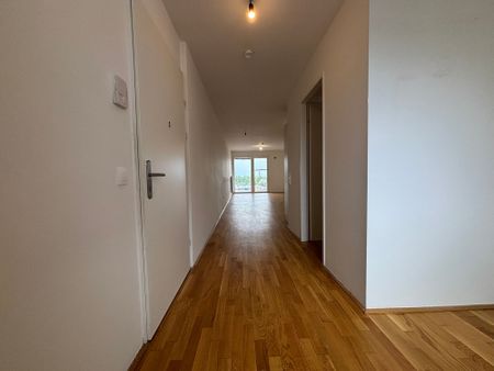 Viola Park - 3 Zimmer im Neubau - Photo 2