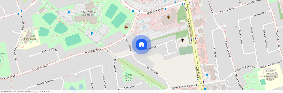 328 Rita's Avenue #Basement, Newmarket, Summerhill Estates