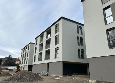 STABIO – 3.5 LOCALI NUOVA RESIDENZA CON PARCO - Photo 4