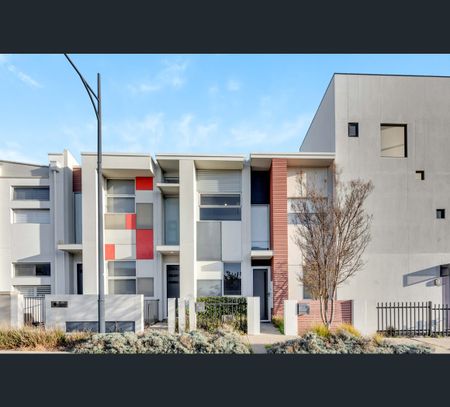 13 Julian Street, Lightsview, SA 5085 - Photo 4