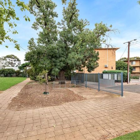 8/17 Florence Street - Photo 4