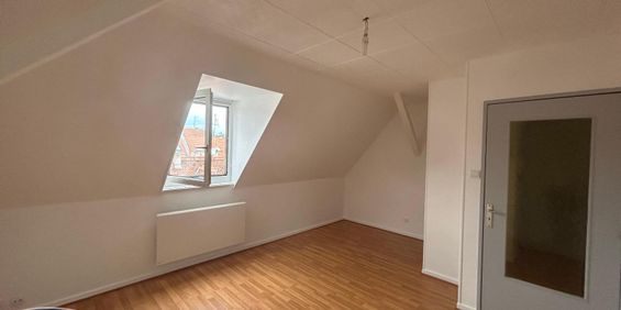 Location Appartement 1 pièce 24m² STRASBOURG 67200 - Photo 3