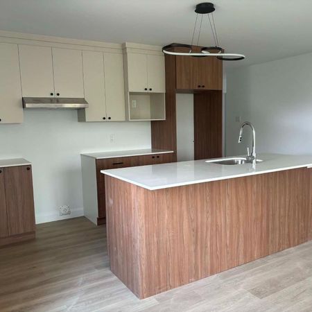 Spacieux et lumineux 4 1/2 avec bureau - St-Séverin en Beauce (logement neuf) - Photo 3