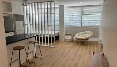 Renovated Studio Apartment - Photo 2