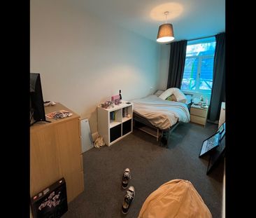 7 Bed Flat, Smithdown Road, L15 - Photo 6