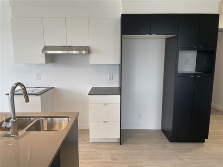 Très Grand 3½(juillet)-304-886, rue Lamarche, Sherbrooke, J1H0M9 - Photo 3