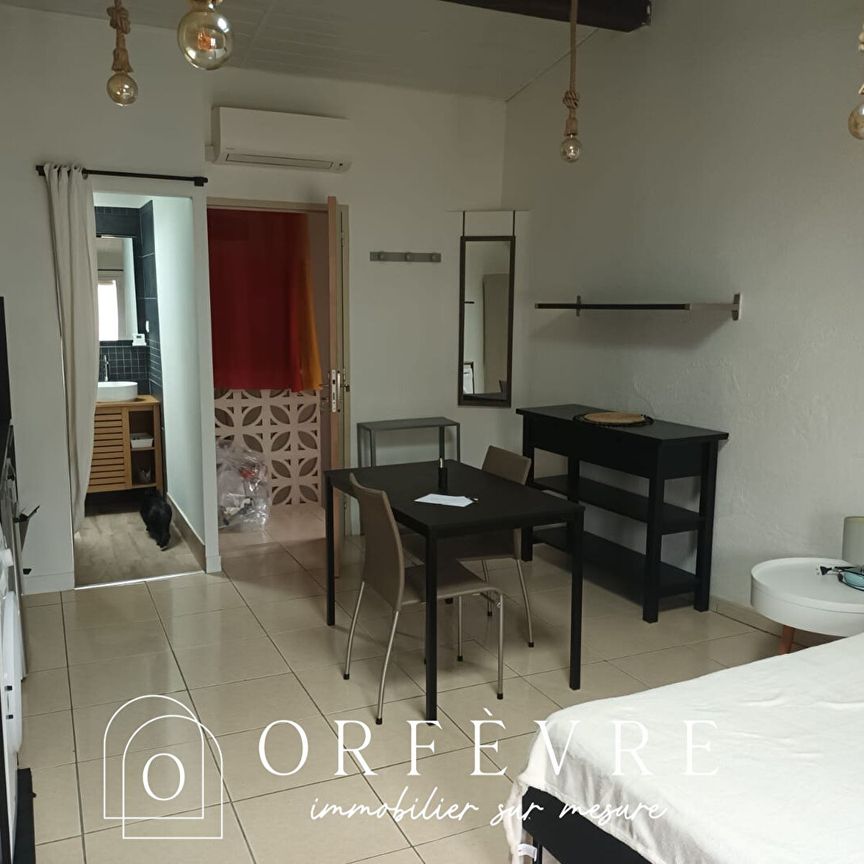 Studio meublé Mauguio 23m2, - Photo 1