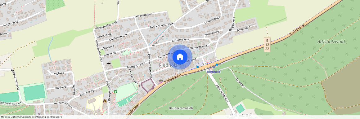 Buchenstrasse 9, 4533 Riedholz