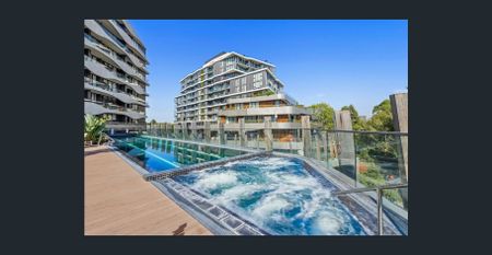 DISCOVER SANCTUARY ON THE RIVER - Photo 5