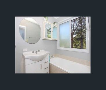 Peaceful Hinterland Living - Photo 6