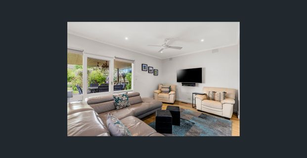 Family Entertainer in Central Locale! - Photo 1