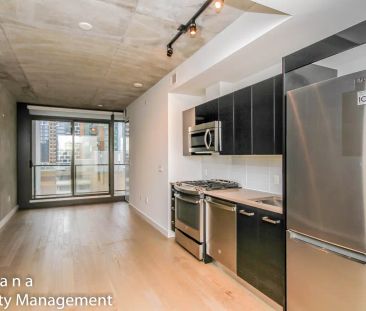 224 Lyon Street North - 1115 — 1 Bedroom - Photo 2