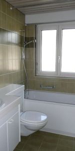 herzige Wohnung nähe Zentrum Uster - Foto 3