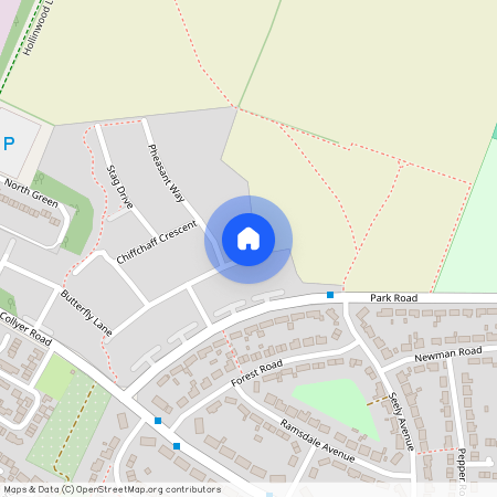 Forest View, Calverton