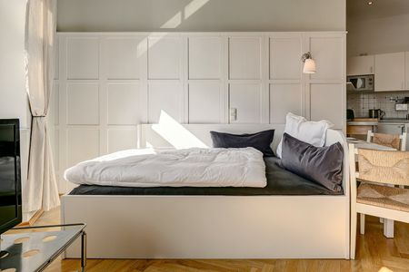 Bright 1-room apartment, Munich-Gärtnerplatzviertel - Photo 5