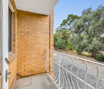 Freshly Updated & Perfectly Located! - Photo 5