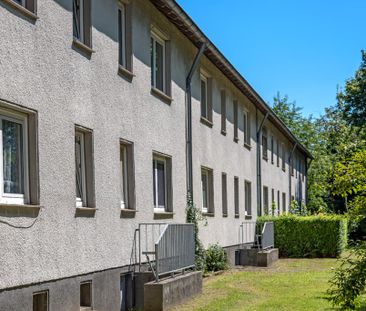 Demnächst frei! 2-Zimmer-Wohnung in Herten Disteln - Foto 1