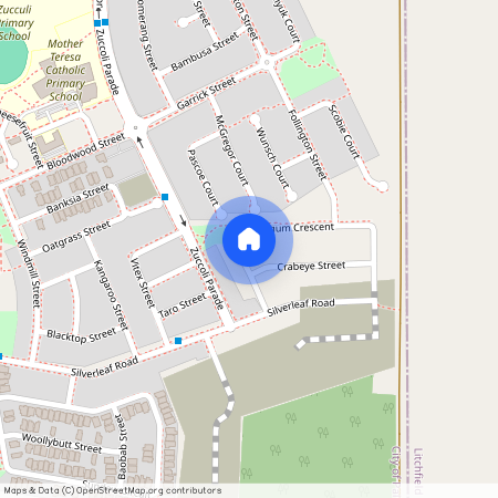 16 Whitegum Crescent, Zuccoli