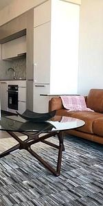 Furnished Condo Rental - 1 Bed, 1 Bath, Modern Kitchen, Upscale Decor - Photo 4