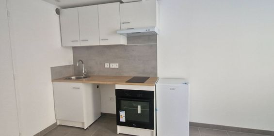 Location Appartement 1 pièce 18m² - Photo 3