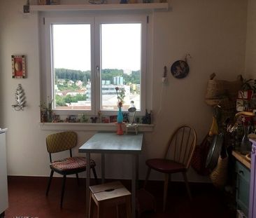 4-ROOM APARTMENT IN SCHAFFHAUSEN, FURNISHED, TEMPORARY - Photo 1