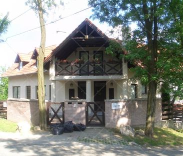 Hímes utca | Property for Long Term Rent in Budapest - Photo 6