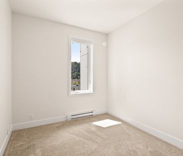 YEARLING - 201 - YE201 - Photo 5