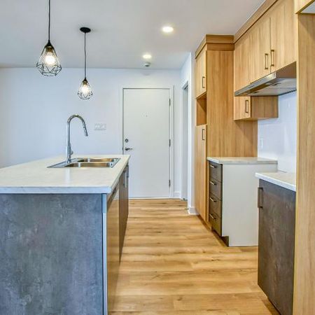 4 1/2 À LOUER- SAINT-LIN-LAURENTIDES - APPARTEMENT À LOUER - Photo 3