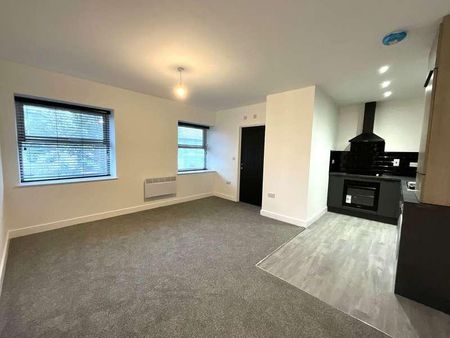 The Old Court House, DN1 - Photo 5