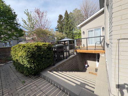 For Lease - 120 Grey Alder Avenue Unit# Sep Entrance BSMT, Richmond Hill, Ontario - Photo 3
