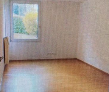 Kleines Appartment am Homburg sucht neuen Mieter ab 01.04.26 - Photo 2