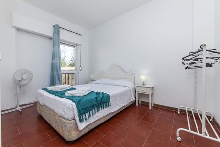 Estrada da Ponta da Piedade - Photo 5