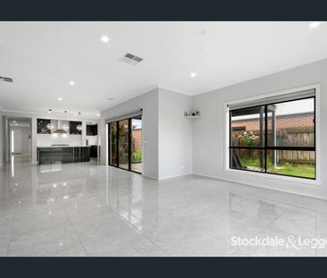 A cut above the rest! - Photo 6