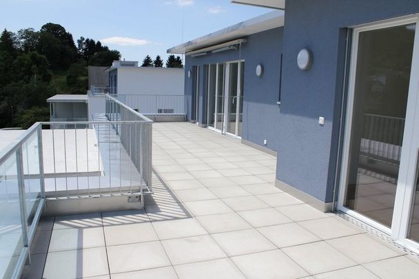 Schöne Attikawohnung in Zeiningen gesucht? - Photo 1