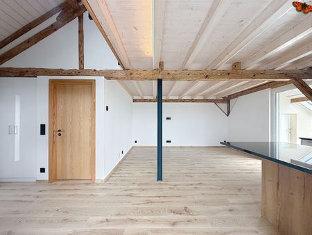 2½ pièces - Duplex de charme - Foto 5