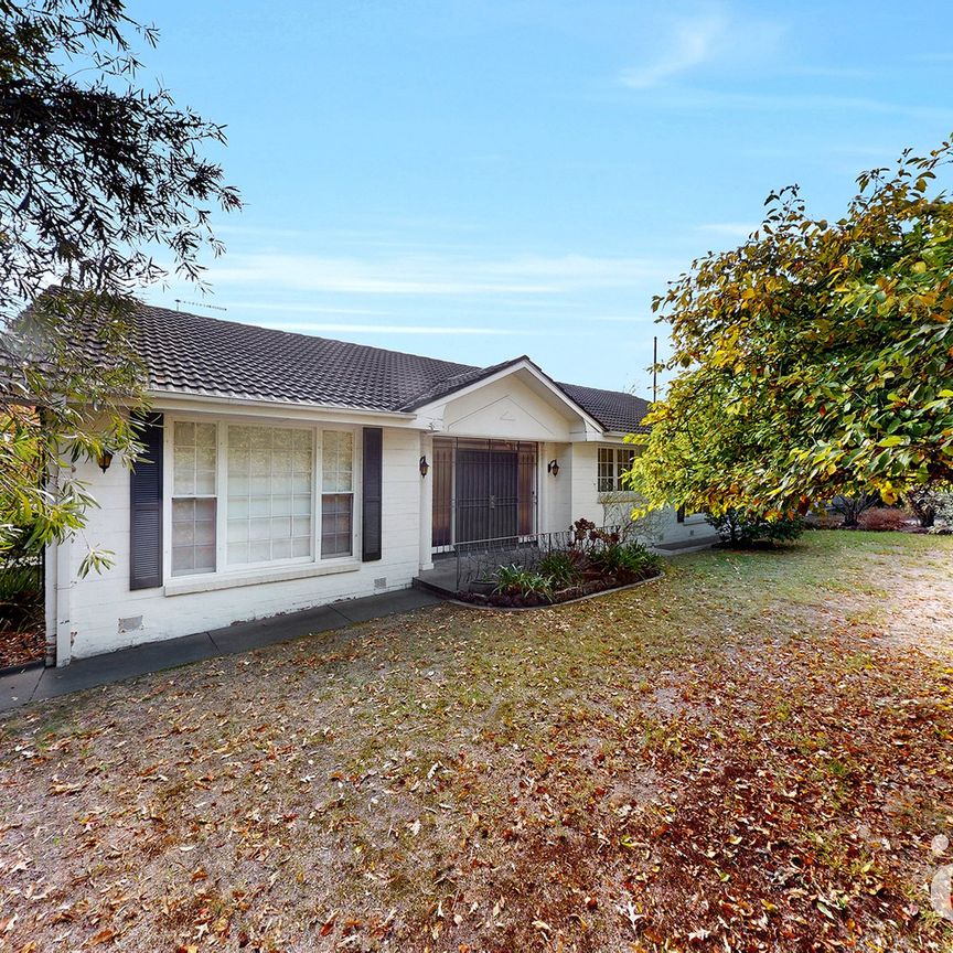 3/2 Jersey Street, Balwyn - Photo 1