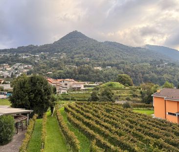 Bel 3.5 locali in comodissima posizione tranquilla - Foto 2