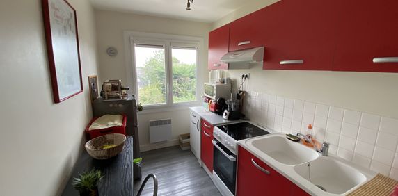 Location Appartement 1 pièce 31m² ANGERS 49000 - Photo 2