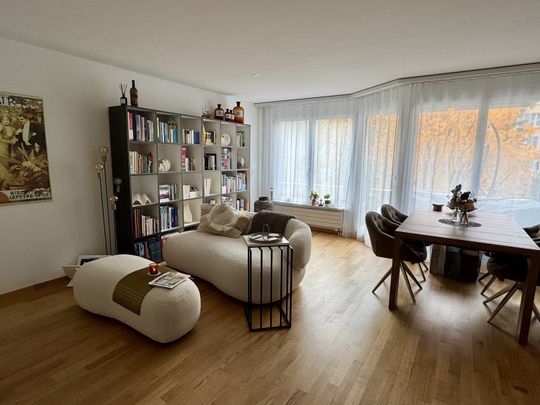 APPARTEMENT DE 2 PIÈCES À LUCERNE, MEUBLÉ, TEMPORAIRE - Photo 1