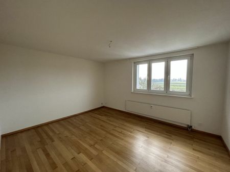 Ahornstrasse, Münchenstein - Photo 4