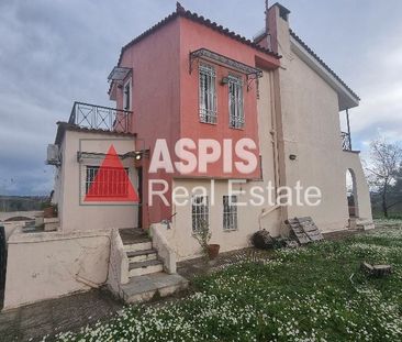 Μονοκατοικία για ενοικίαση Καπανδρίτι - Photo 1