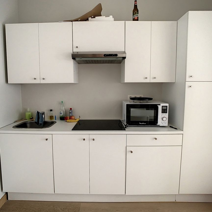 Emile Mathieustraat, 1, 3000, Leuven - Foto 1