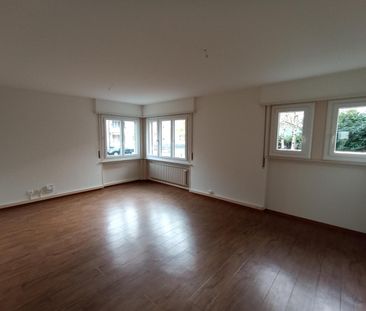 Beautiful 4.5 room recently renovated on the ground floor - Photo 4