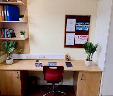 Deluxe Studio - Photo 3