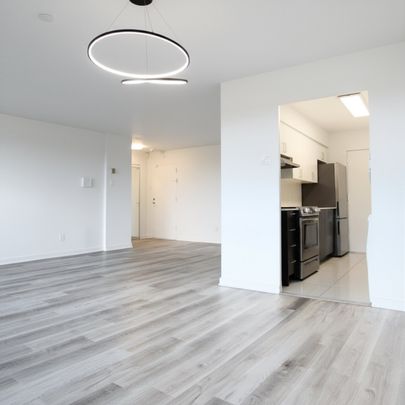 Appartement à louer - Montréal (Côte-des-Neiges/Notre-Dame-de-Grâce) (Côte-des-Neiges) Appartement à louer - Montréal (Côte-des-Neiges/Notre-Dame-de-Grâce) (Côte-des-Neiges) - Photo 1