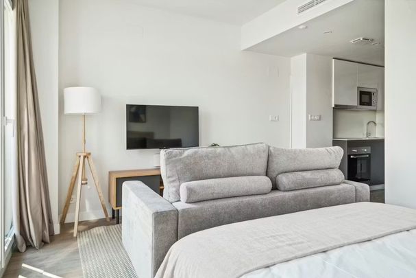 Calle de José Antonio Rebolledo y Palma, Madrid, Community of Madrid 28051 - Photo 1