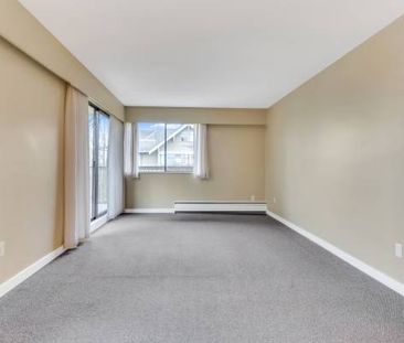 Bachelor Apartment for Rent at Douglas Place - Photo 2