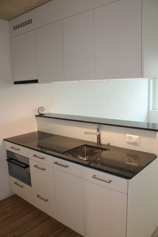 Modern workshop in the heart of Bümpliz - Photo 4