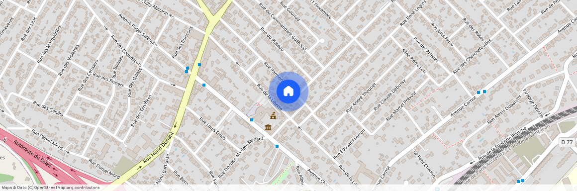 SAVIGNY SUR ORGE (91600)